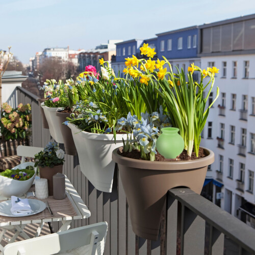 Tonspitzen Bewässerung 6er Set 1