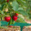 Dichtmaschiges Vogelnetz 3er Set 5
