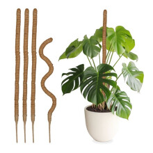 5 kpl kookostikkuja 90 cm