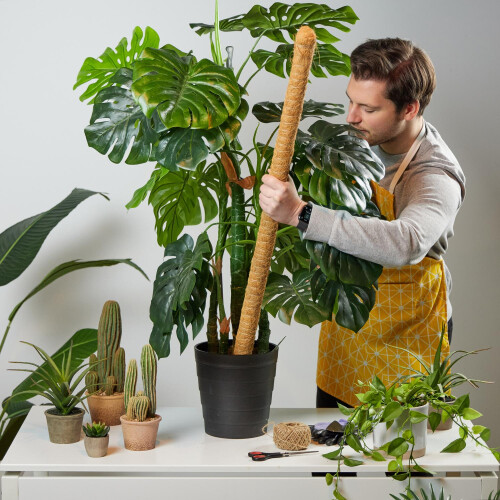 5 kpl kookostikkuja 90 cm 2