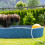 Dog pool 160x30 cm 3
