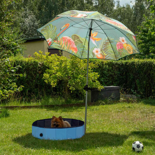 Dog pool 80x20 cm 2