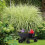 Gartenwagen mit Kippfunktion 3