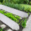 Pflanztunnel aus Vlies 5 m 2er Set 2