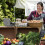 Kassenschublade mit Zahlenkombination 2