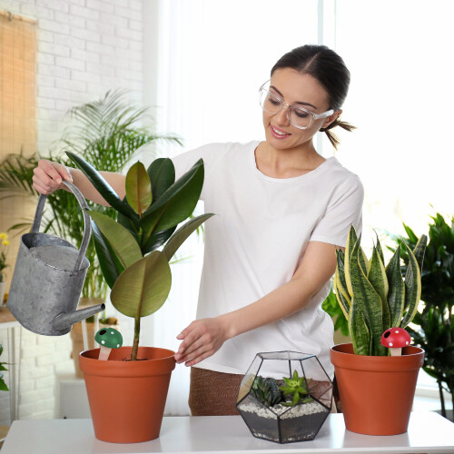 Tonkegel mit Pilzmotiv 4er Set 2