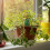 Tonfrosch 4er Set 3