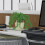 Tonfrosch 4er Set 5