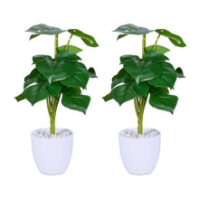 Monstera Kunstpflanze 2er Set