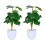 Monstera Kunstpflanze 2er Set 1