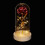 Ewige Rose im Glas 1