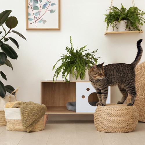Katzenschrank mit Eingang 1