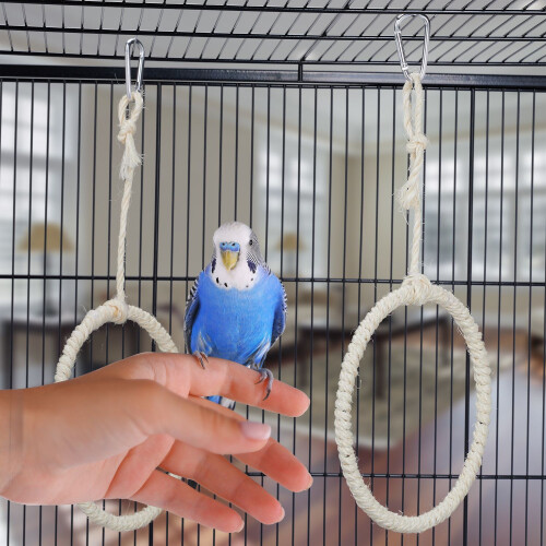 Vogelschaukelring 2er Set 2
