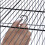 Vogelschaukelring 2er Set 6