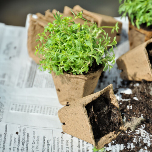 Cultivation pots 120 sets with tools 1