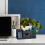 Design web pentru organizarea desktopului 2