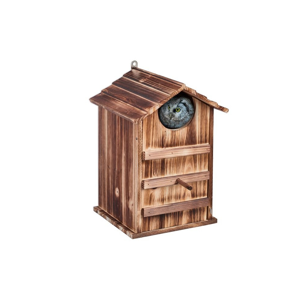 Owls Nest Box Wood