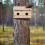 Nest für Stare 2