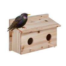 Nest für Stare