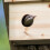 Nest für Stare 5