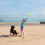 Bullet Bumpers für Hunde 4er Set 3