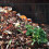 Metallkomposter mit Bodenrost 5