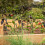 6er Set Pflanzenstäbe aus Metall 2