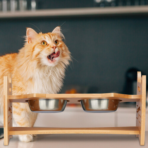 Höhenverstellbarer Futterplatz für Katzen 1