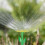 Sprinklerblume - 6er Set 2