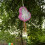 Pinata with unicorn 2