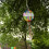 Piñata Geburtstag 2