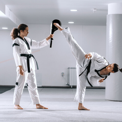 Taekwondo Handkralle 2er Set 2