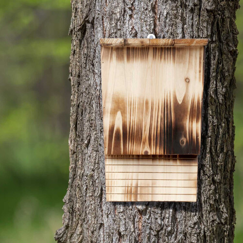 Fledermauskasten aus geflammtem Holz 1