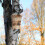 Fledermauskasten aus geflammtem Holz 6