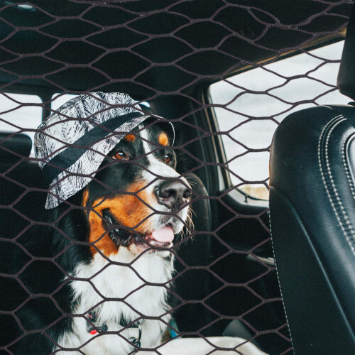 Auto-Trennnetz für Hunde 1
