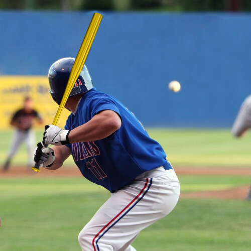 Baseball bat in golden aluminum 2