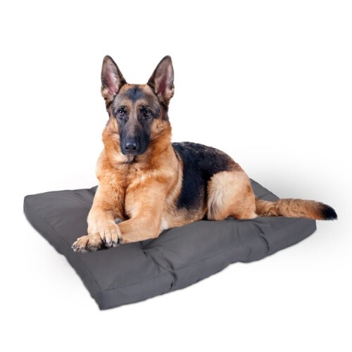 Hundebett grau