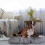 Hundebett grau 5