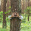 Holzgesicht mit Ruhegeste 3