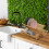 Tuyau de drainage pliable en bambou 2