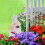 Weißer Gartenzwerg mit Mittelfinger 5