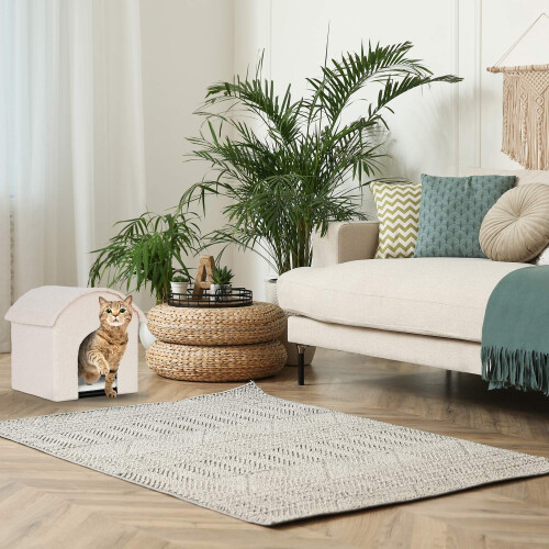 Beige kattegrav med kradseoverflade 1