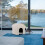 Beige kattegrav med kradseoverflade 5