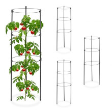 Kletterpflanze 60 cm 4er Set