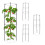 Kletterpflanze 60 cm 4er Set 1