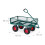 Grüner Handwagen 4