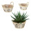 Runder Blumentopf Birke 3er Set 1