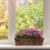 Blumenkasten 4er Set 5