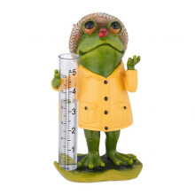 Regenmesserfrosch