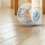 Hamsterball mit hellblauem Deckel 2
